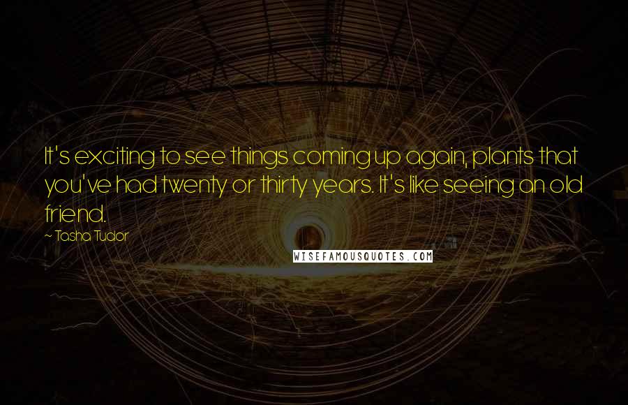 Tasha Tudor Quotes: It's exciting to see things coming up again, plants that you've had twenty or thirty years. It's like seeing an old friend.