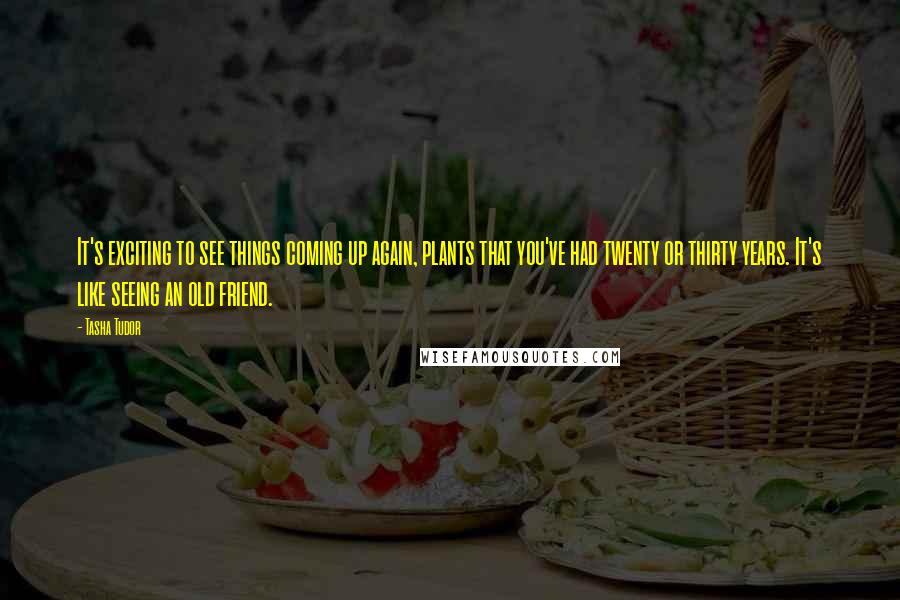 Tasha Tudor Quotes: It's exciting to see things coming up again, plants that you've had twenty or thirty years. It's like seeing an old friend.