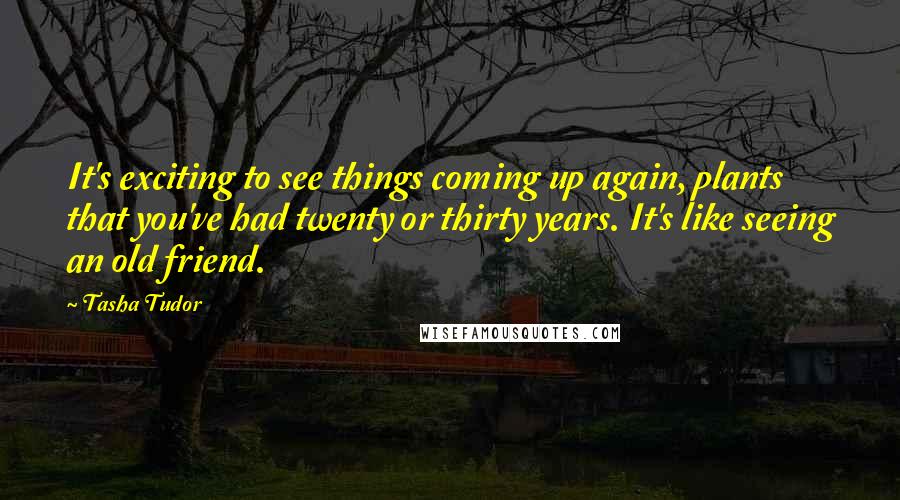 Tasha Tudor Quotes: It's exciting to see things coming up again, plants that you've had twenty or thirty years. It's like seeing an old friend.