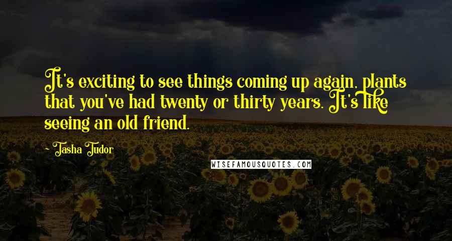 Tasha Tudor Quotes: It's exciting to see things coming up again, plants that you've had twenty or thirty years. It's like seeing an old friend.