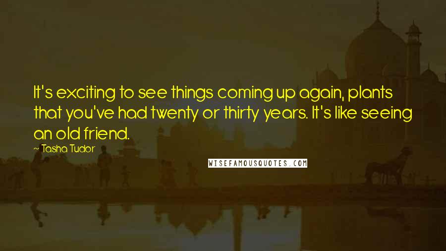 Tasha Tudor Quotes: It's exciting to see things coming up again, plants that you've had twenty or thirty years. It's like seeing an old friend.