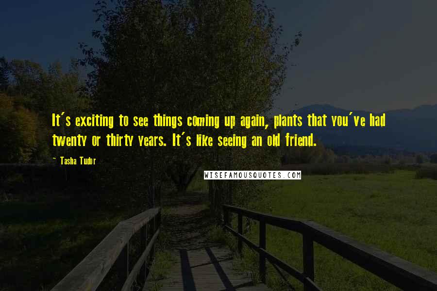 Tasha Tudor Quotes: It's exciting to see things coming up again, plants that you've had twenty or thirty years. It's like seeing an old friend.