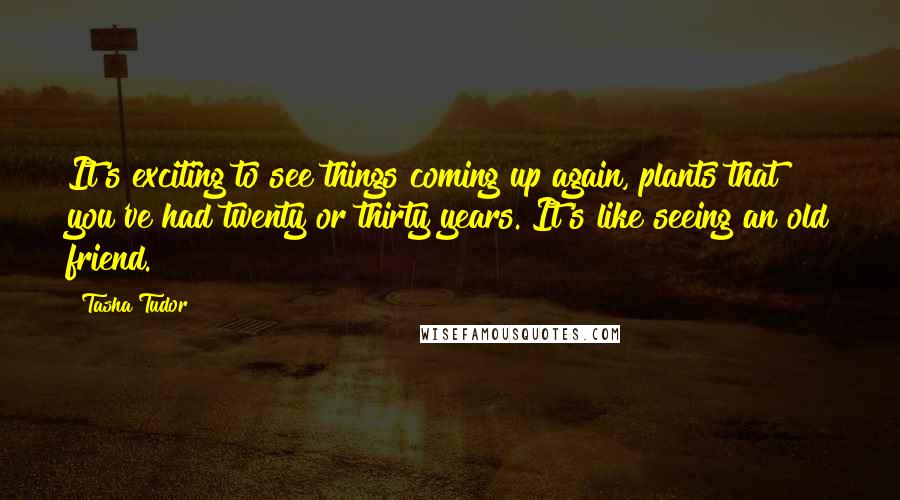 Tasha Tudor Quotes: It's exciting to see things coming up again, plants that you've had twenty or thirty years. It's like seeing an old friend.