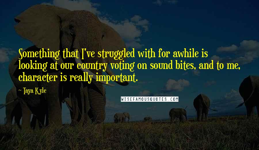 Taya Kyle Quotes: Something that I've struggled with for awhile is looking at our country voting on sound bites, and to me, character is really important.