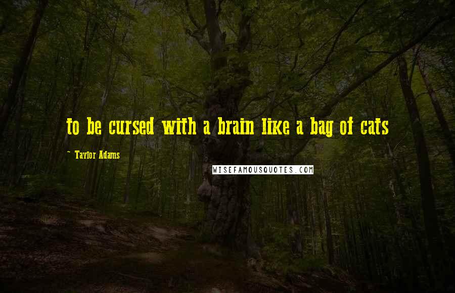 Taylor Adams Quotes: to be cursed with a brain like a bag of cats