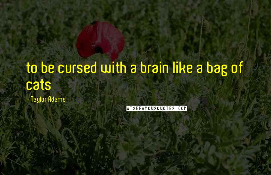 Taylor Adams Quotes: to be cursed with a brain like a bag of cats