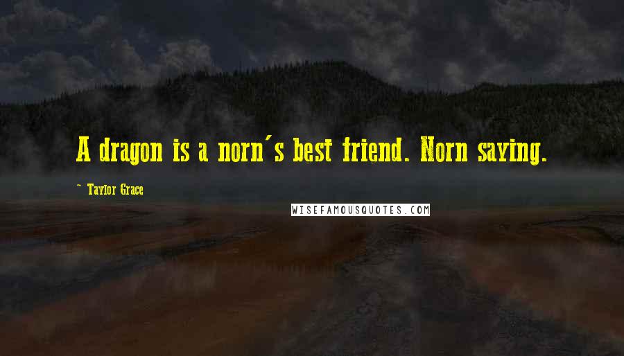 Taylor Grace Quotes: A dragon is a norn's best friend. Norn saying.