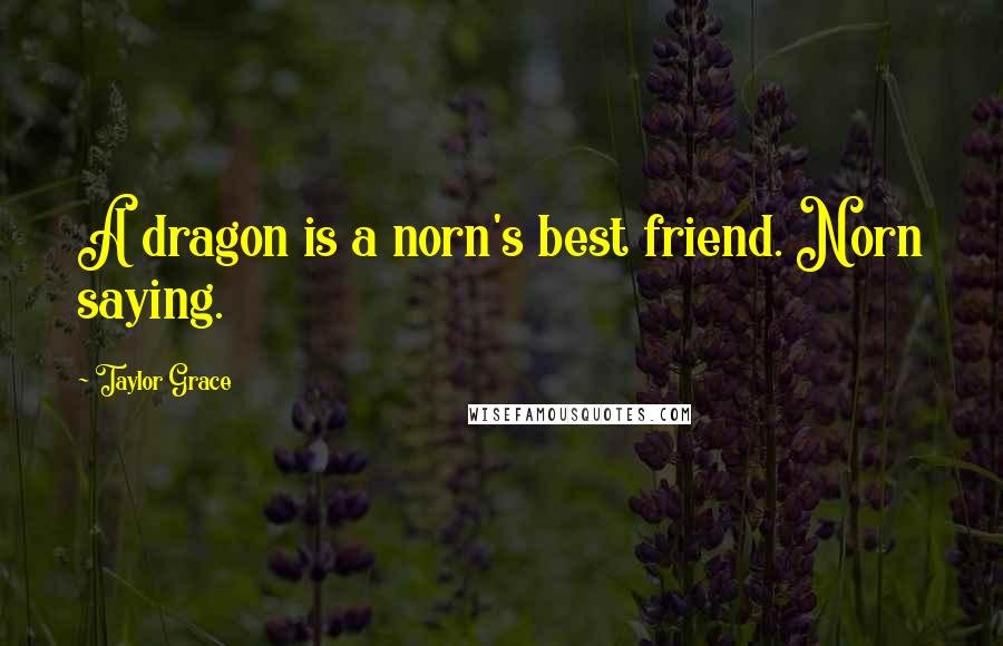 Taylor Grace Quotes: A dragon is a norn's best friend. Norn saying.