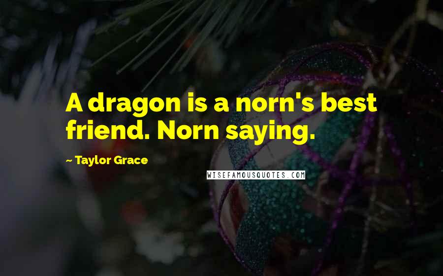 Taylor Grace Quotes: A dragon is a norn's best friend. Norn saying.