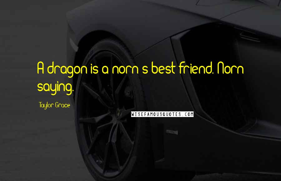 Taylor Grace Quotes: A dragon is a norn's best friend. Norn saying.