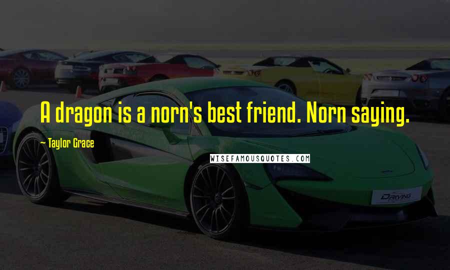 Taylor Grace Quotes: A dragon is a norn's best friend. Norn saying.