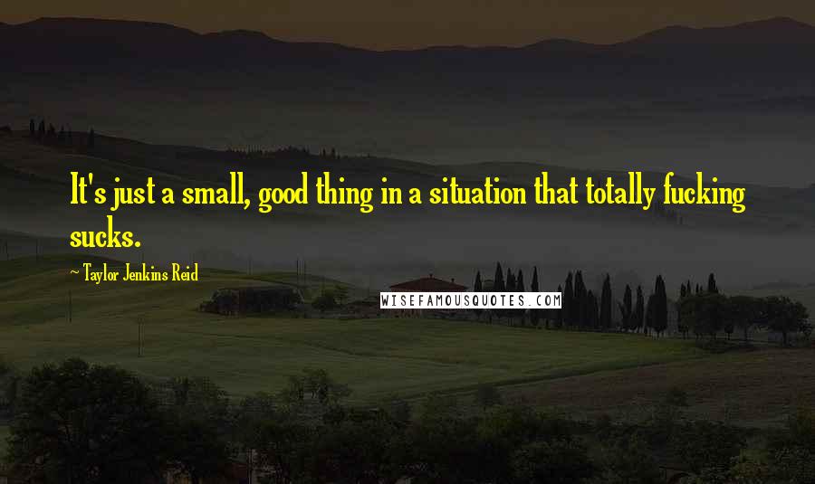 Taylor Jenkins Reid Quotes: It's just a small, good thing in a situation that totally fucking sucks.