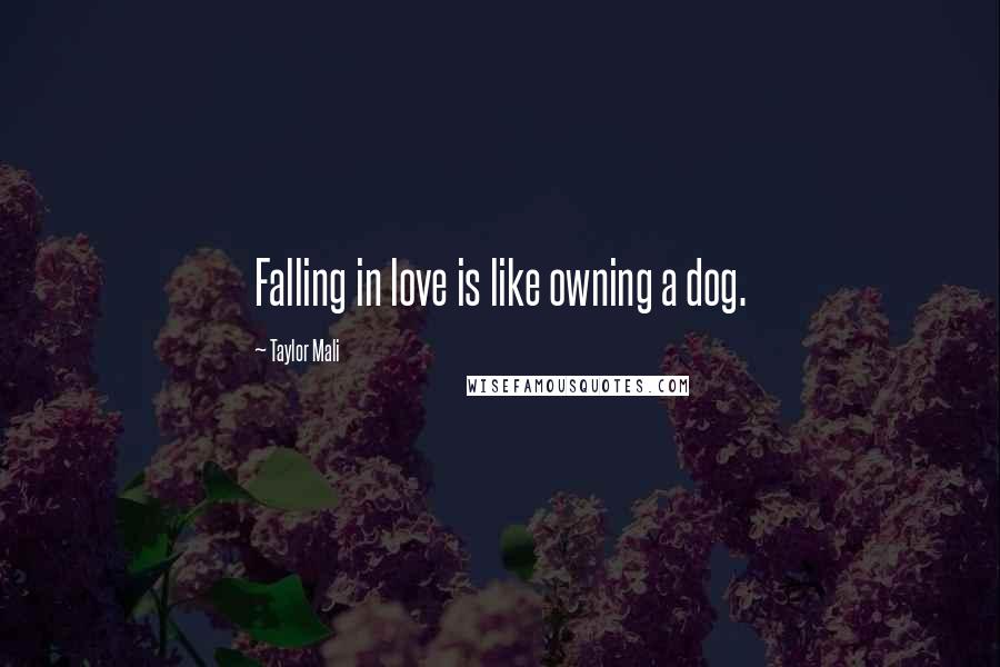 Taylor Mali Quotes: Falling in love is like owning a dog.