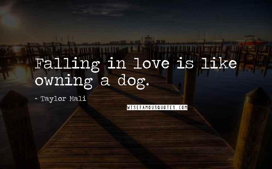 Taylor Mali Quotes: Falling in love is like owning a dog.
