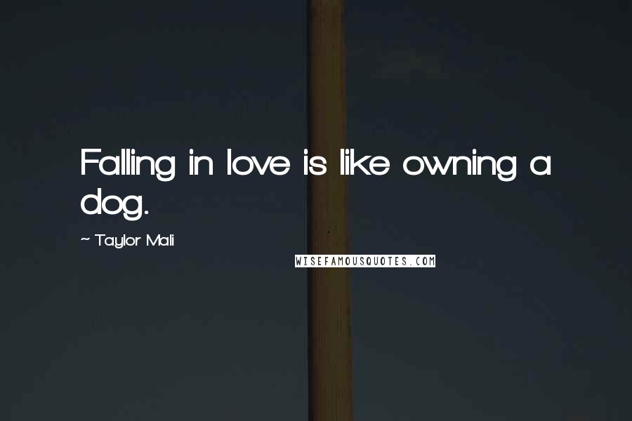 Taylor Mali Quotes: Falling in love is like owning a dog.