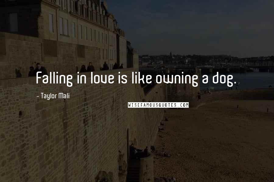 Taylor Mali Quotes: Falling in love is like owning a dog.