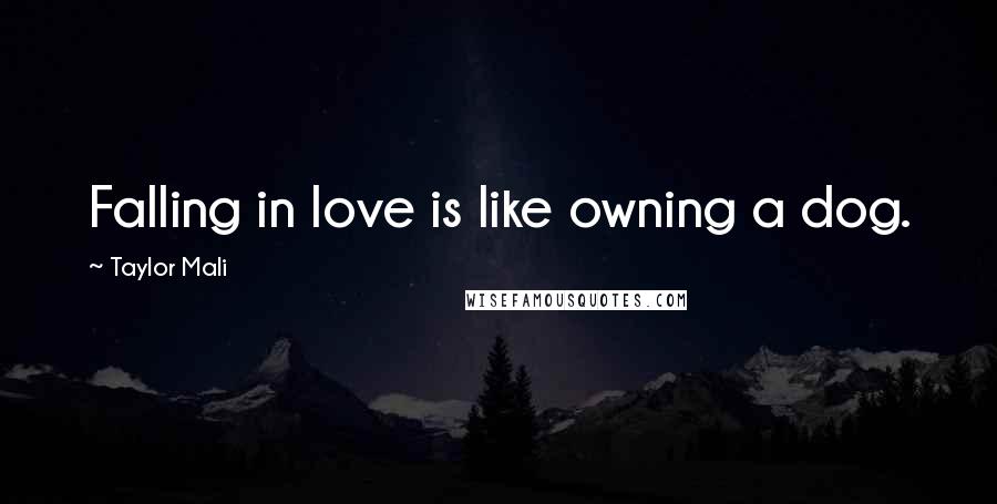 Taylor Mali Quotes: Falling in love is like owning a dog.