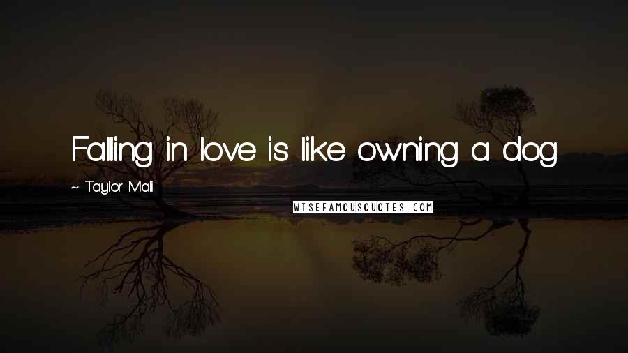 Taylor Mali Quotes: Falling in love is like owning a dog.