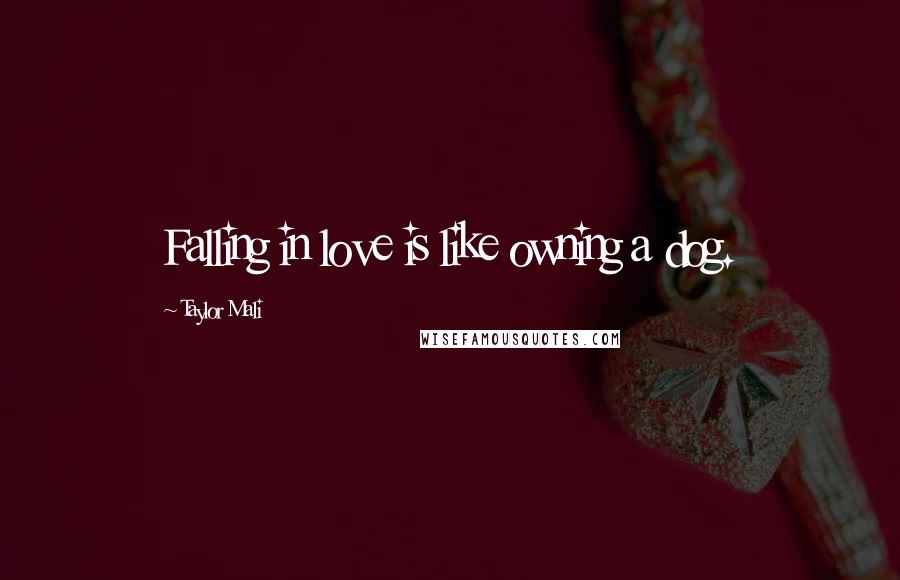 Taylor Mali Quotes: Falling in love is like owning a dog.