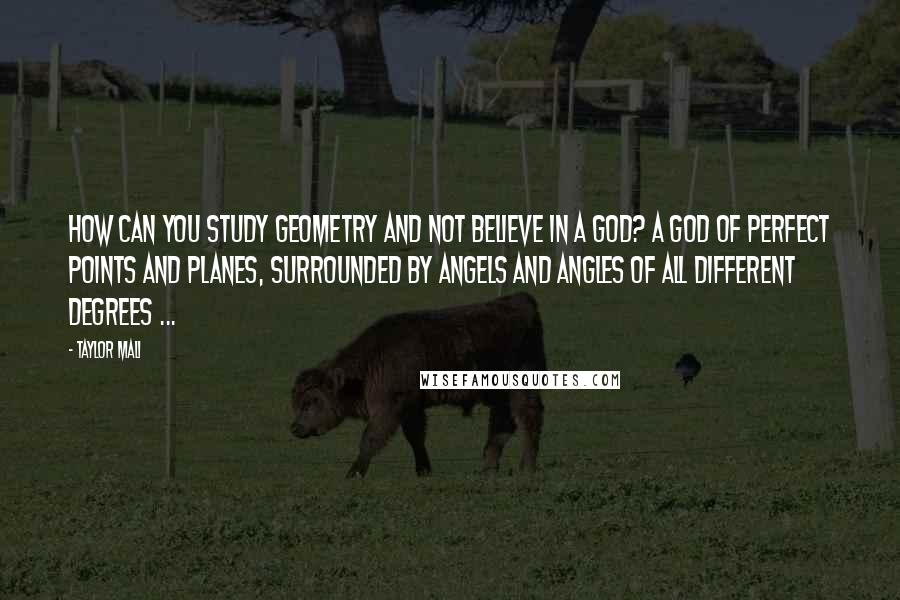 Taylor Mali Quotes: How can you study geometry and not believe in a god? A god of perfect points and planes, surrounded by angels and angles of all different degrees ...