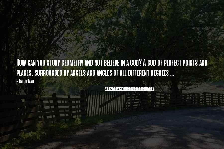 Taylor Mali Quotes: How can you study geometry and not believe in a god? A god of perfect points and planes, surrounded by angels and angles of all different degrees ...