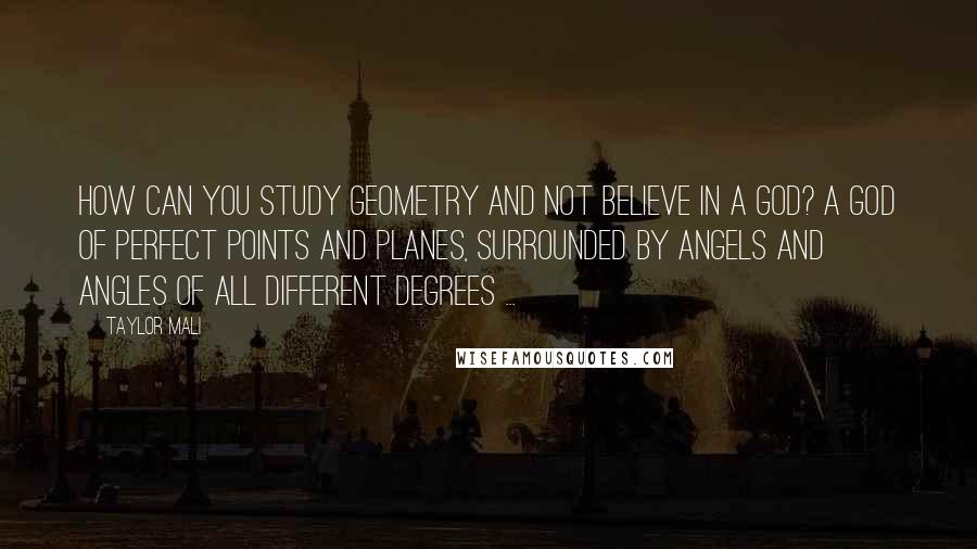 Taylor Mali Quotes: How can you study geometry and not believe in a god? A god of perfect points and planes, surrounded by angels and angles of all different degrees ...