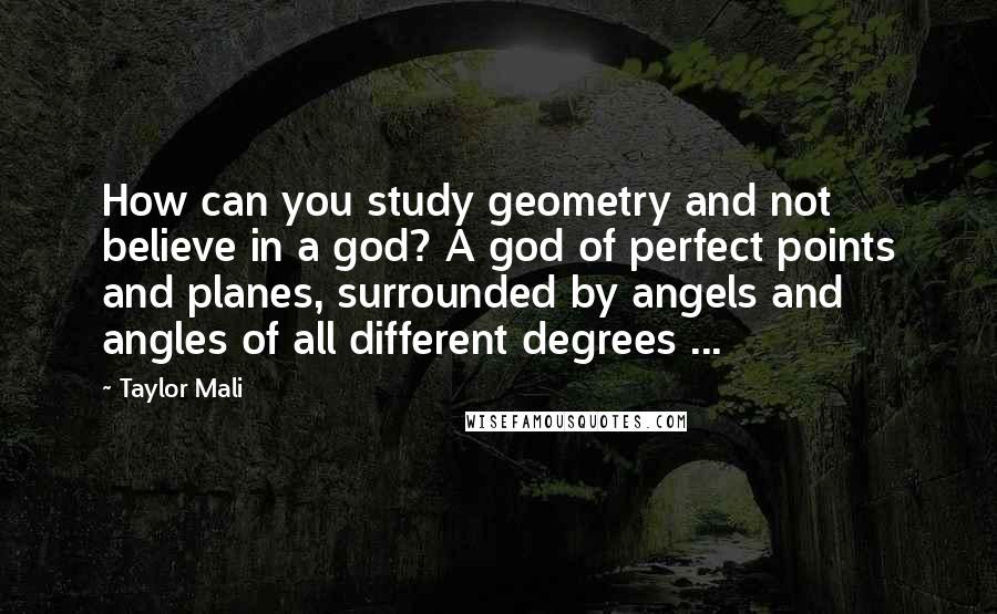 Taylor Mali Quotes: How can you study geometry and not believe in a god? A god of perfect points and planes, surrounded by angels and angles of all different degrees ...