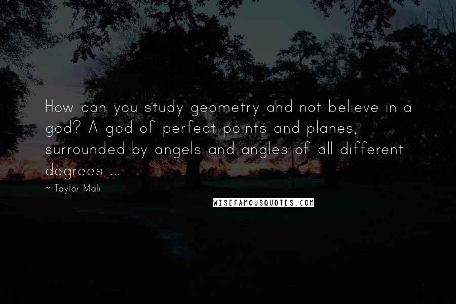 Taylor Mali Quotes: How can you study geometry and not believe in a god? A god of perfect points and planes, surrounded by angels and angles of all different degrees ...