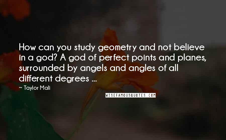 Taylor Mali Quotes: How can you study geometry and not believe in a god? A god of perfect points and planes, surrounded by angels and angles of all different degrees ...