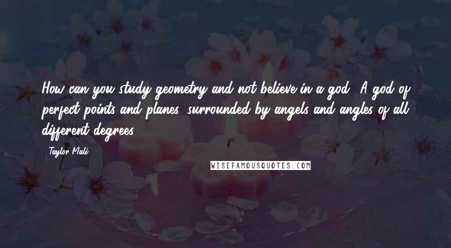 Taylor Mali Quotes: How can you study geometry and not believe in a god? A god of perfect points and planes, surrounded by angels and angles of all different degrees ...