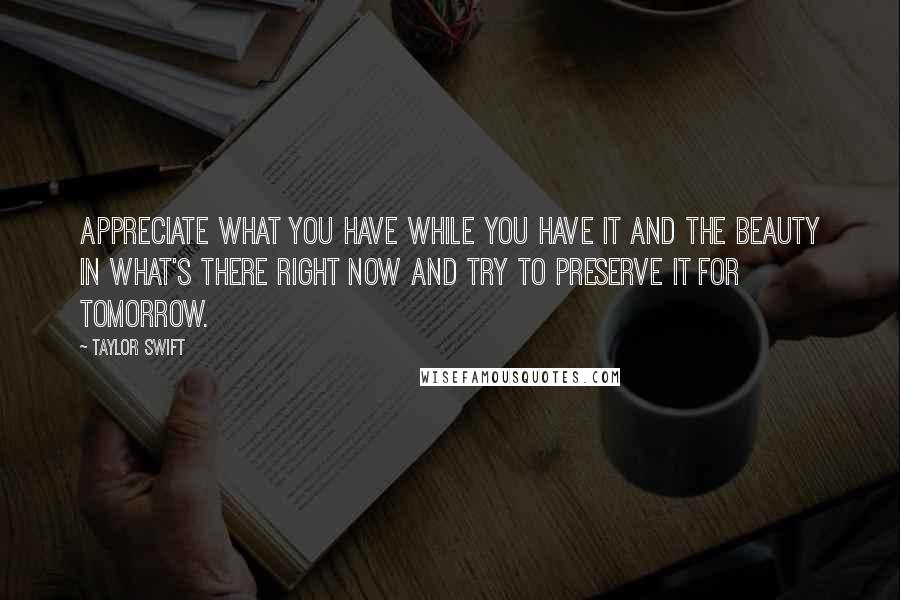 Taylor Swift Quotes: Appreciate what you have while you have it and the beauty in what's there right now and try to preserve it for tomorrow.