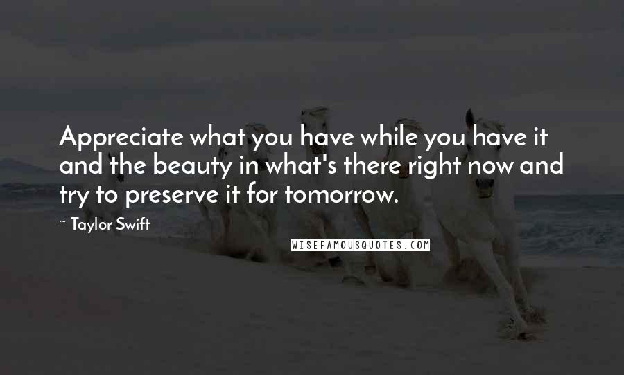 Taylor Swift Quotes: Appreciate what you have while you have it and the beauty in what's there right now and try to preserve it for tomorrow.