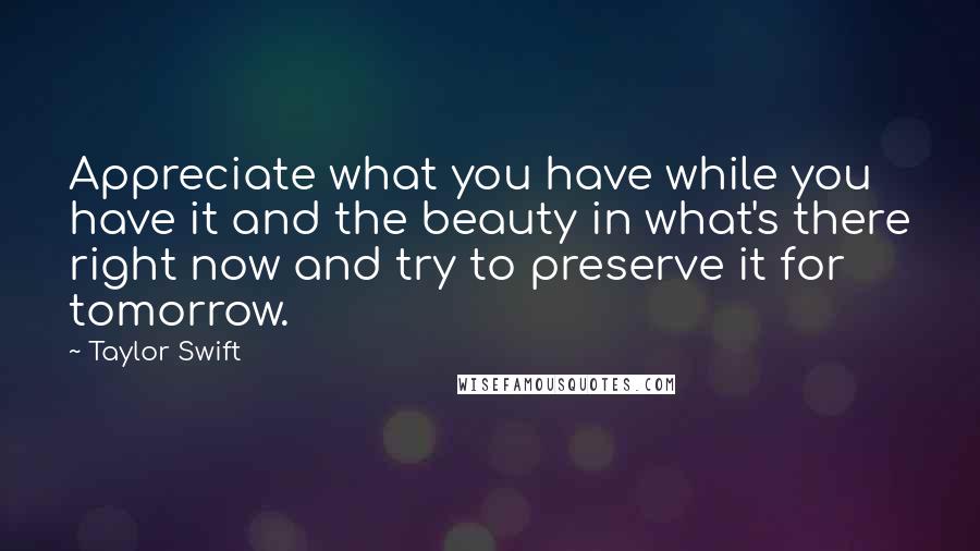 Taylor Swift Quotes: Appreciate what you have while you have it and the beauty in what's there right now and try to preserve it for tomorrow.