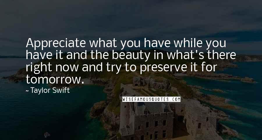 Taylor Swift Quotes: Appreciate what you have while you have it and the beauty in what's there right now and try to preserve it for tomorrow.