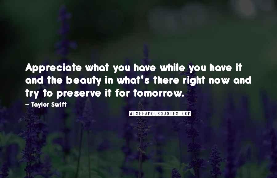 Taylor Swift Quotes: Appreciate what you have while you have it and the beauty in what's there right now and try to preserve it for tomorrow.