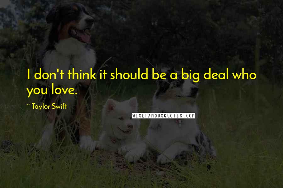 Taylor Swift Quotes: I don't think it should be a big deal who you love.
