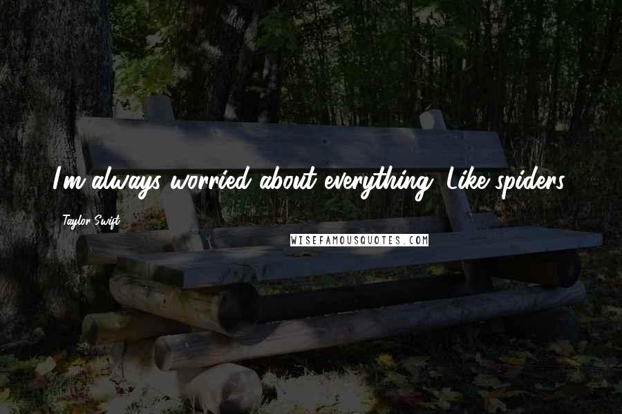 Taylor Swift Quotes: I'm always worried about everything. Like spiders.