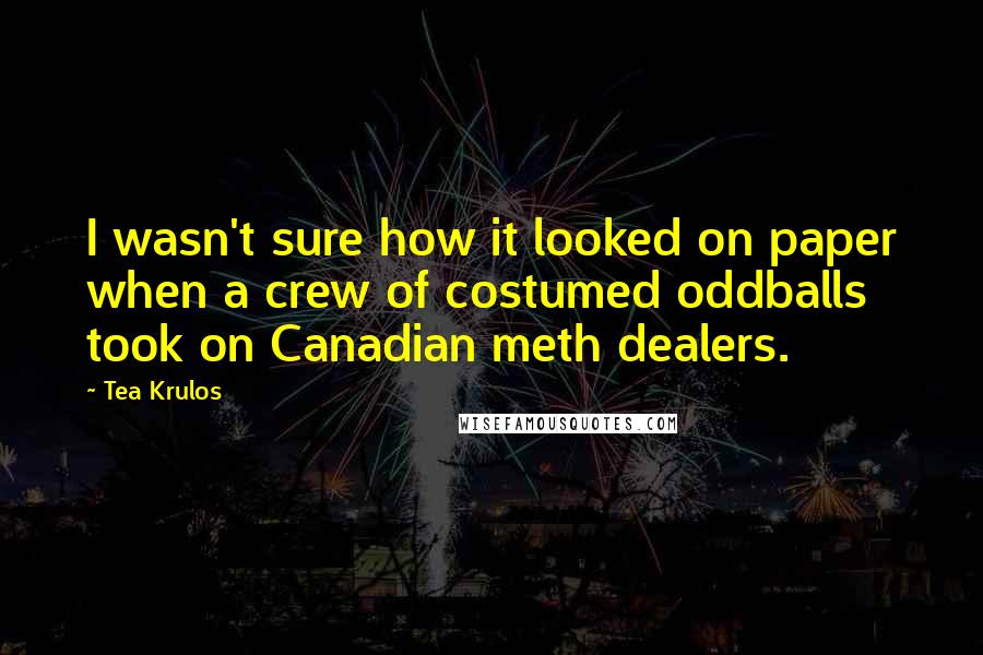 Tea Krulos Quotes: I wasn't sure how it looked on paper when a crew of costumed oddballs took on Canadian meth dealers.