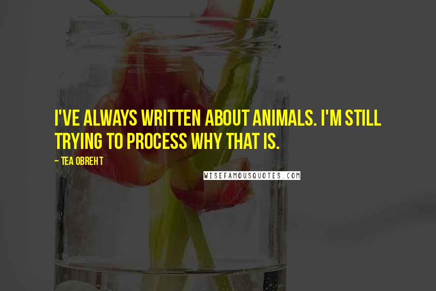 Tea Obreht Quotes: I've always written about animals. I'm still trying to process why that is.