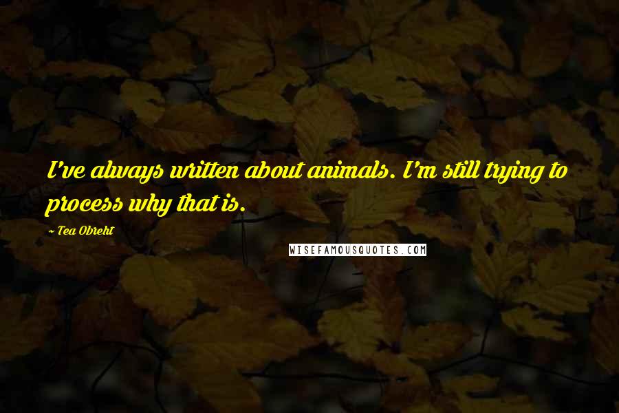 Tea Obreht Quotes: I've always written about animals. I'm still trying to process why that is.
