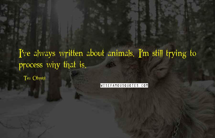 Tea Obreht Quotes: I've always written about animals. I'm still trying to process why that is.