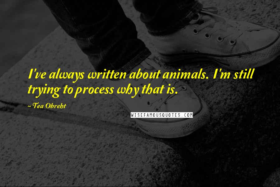 Tea Obreht Quotes: I've always written about animals. I'm still trying to process why that is.