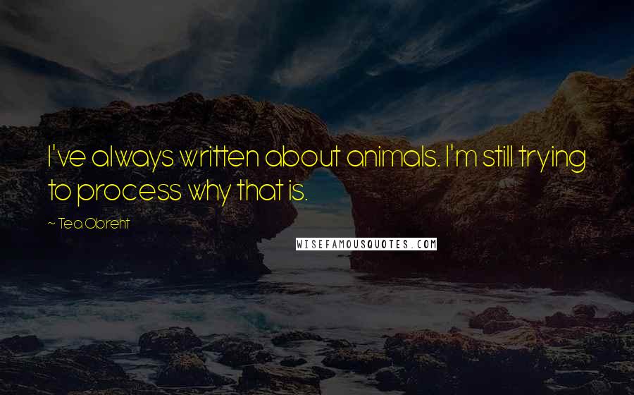 Tea Obreht Quotes: I've always written about animals. I'm still trying to process why that is.