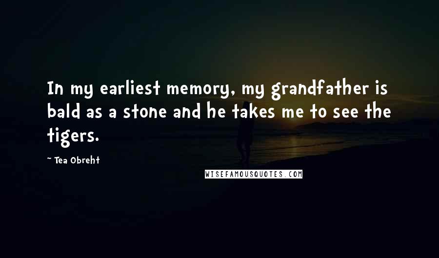 Tea Obreht Quotes: In my earliest memory, my grandfather is bald as a stone and he takes me to see the tigers.