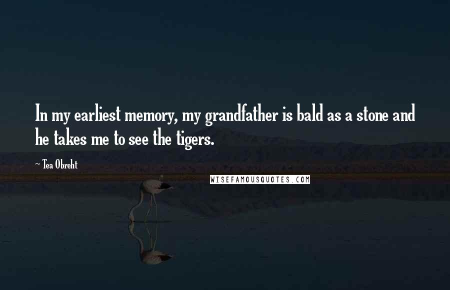 Tea Obreht Quotes: In my earliest memory, my grandfather is bald as a stone and he takes me to see the tigers.