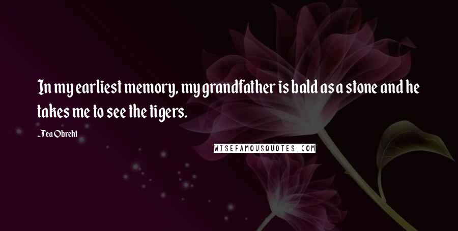 Tea Obreht Quotes: In my earliest memory, my grandfather is bald as a stone and he takes me to see the tigers.