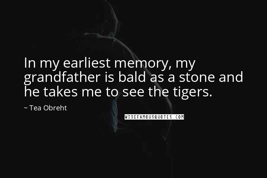 Tea Obreht Quotes: In my earliest memory, my grandfather is bald as a stone and he takes me to see the tigers.