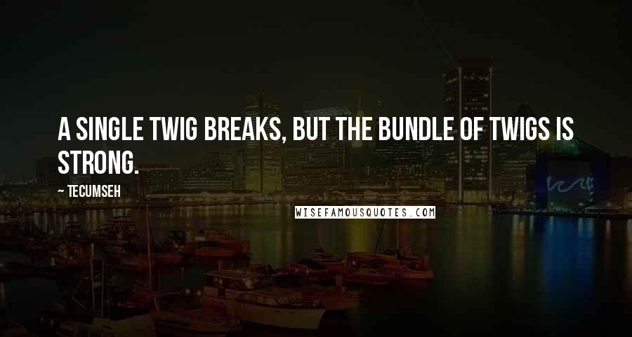 Tecumseh Quotes: A single twig breaks, but the bundle of twigs is strong.