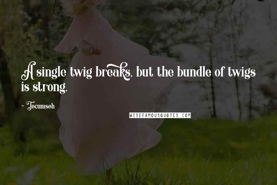 Tecumseh Quotes: A single twig breaks, but the bundle of twigs is strong.