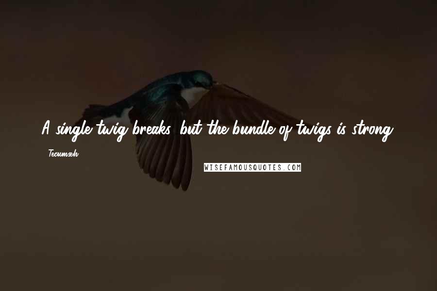 Tecumseh Quotes: A single twig breaks, but the bundle of twigs is strong.